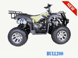 Bull 200 Adult ATV Taotao - American Motorsports and Repairs