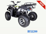 Bull 200 Adult ATV Taotao - American Motorsports and Repairs
