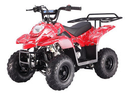 Taotao Boulder 110cc Youth ATV - American Motorsports and Repairs