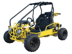 Taotao GK110 Youth Go Kart - American Motorsports and Repairs