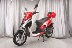 Bahama 50 Scooter 49cc - American Motorsports and Repairs