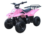 Taotao Boulder 110cc Youth ATV - American Motorsports and Repairs