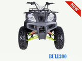 Bull 200 Adult ATV Taotao - American Motorsports and Repairs