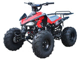 ATV 125cc CHEETAH MID SIZE BY TAOTAO - American Motorsports and Repairs