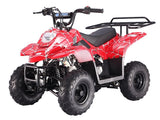 Taotao Boulder 110cc Youth ATV - American Motorsports and Repairs