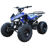 ATV 125cc CHEETAH MID SIZE BY TAOTAO - American Motorsports and Repairs