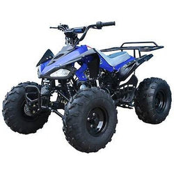 ATV 125cc CHEETAH MID SIZE BY TAOTAO - American Motorsports and Repairs