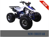 New Cheetah Taotao - American Motorsports and Repairs
