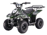 Taotao Boulder 110cc Youth ATV - American Motorsports and Repairs