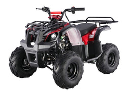 Taotao Youth ATA125D ATV - American Motorsports and Repairs