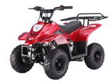 Taotao Boulder 110cc Youth ATV - American Motorsports and Repairs
