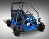 Taotao GK110 Youth Go Kart - American Motorsports and Repairs