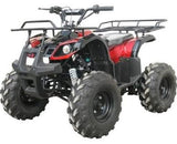 Taotao TForce 120cc Youth ATV - American Motorsports and Repairs