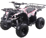 Taotao TForce 120cc Youth ATV - American Motorsports and Repairs