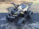 Taotao TForce 120cc Youth ATV - American Motorsports and Repairs