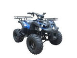 Taotao TForce 120cc Youth ATV - American Motorsports and Repairs