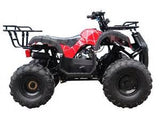 Taotao TForce 120cc Youth ATV - American Motorsports and Repairs