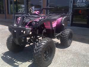 Taotao Rhino 250cc ATV Adult Size Family Outdoors